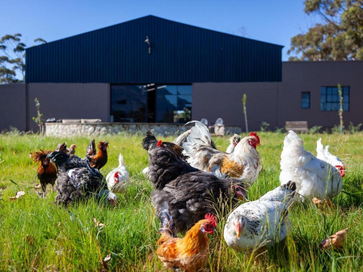Rivergate Guest Farm Stanford Buitenkant foto
