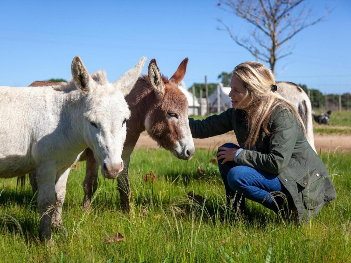 Rivergate Guest Farm Stanford Buitenkant foto